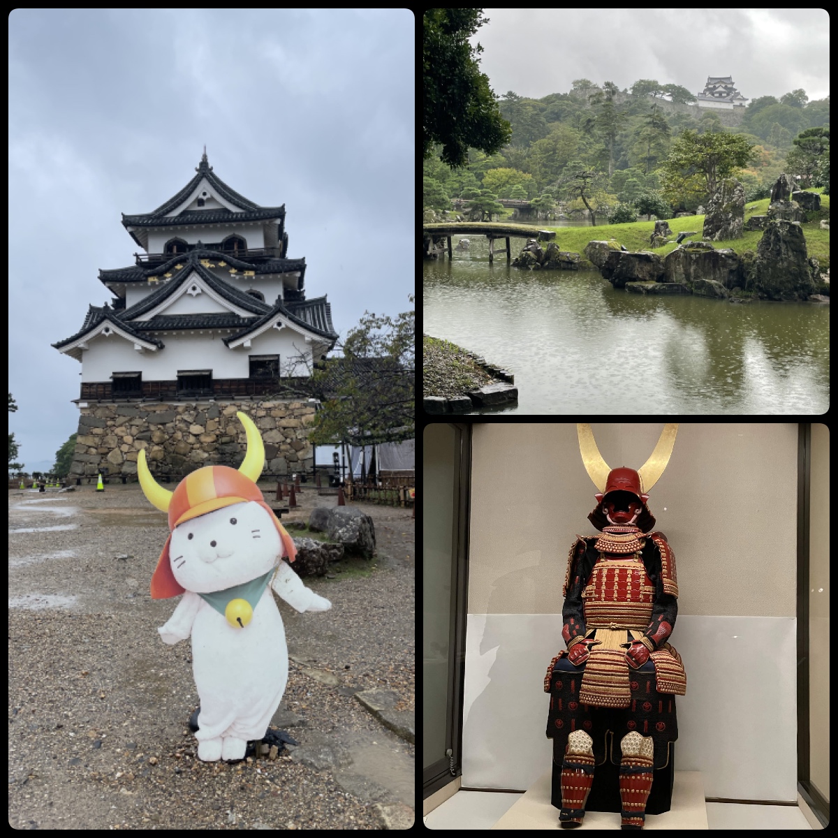 夏合宿