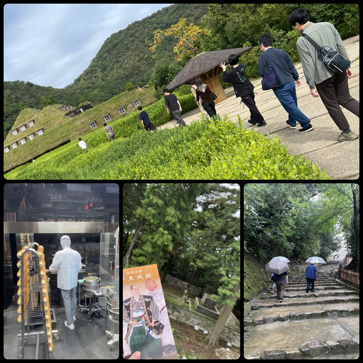夏合宿